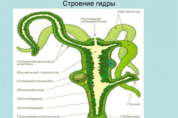 Кракен новая гидра